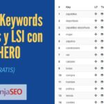 Logra Palabras clave importantes y LSI con SEO Hero (es gratuito)