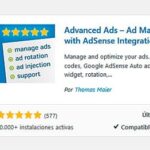 Cómo usar anuncios expandidos en WordPress