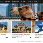 Los mejores temas premium de WordPress de 2019