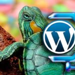 Cómo optimizar imágenes en WordPress