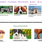 Cómo crear un menú desplegable o un menú adicional en WordPress + Video