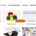 Consultor de optimización de motores de búsqueda y marketing de Internet Ecwid