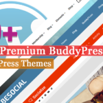 10+ mejores temas premium de WordPress BuddyPress |