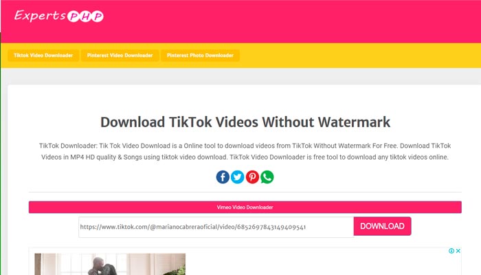 Descargue Tik Tok Free Video Expert desde PHP Tik Tok Downloader