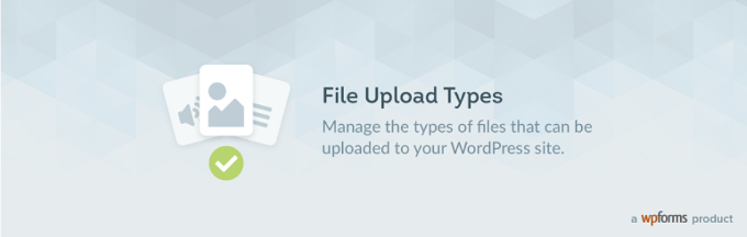 Tipo de carga de archivo WPForms