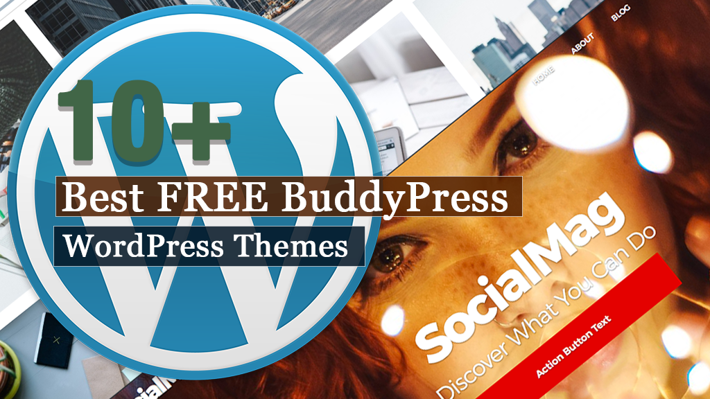 10+ mejores temas gratuitos de WordPress BuddyPress |
