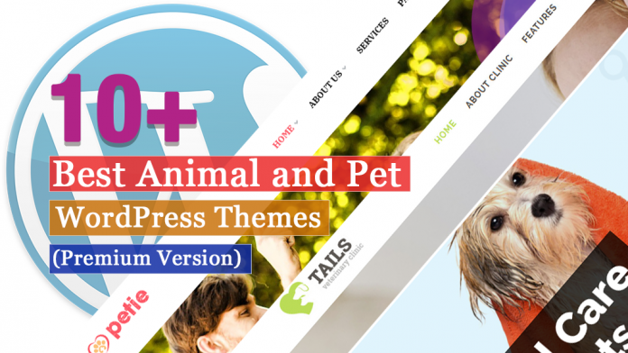 Los 10 mejores temas de WordPress para animales y mascotas  Cómo hacer un sitio web o blog en 2020