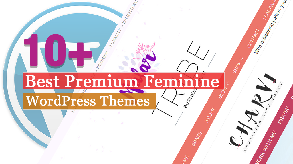 Más de 10 mejores temas premium de WordPress para mujeres  Cómo hacer un sitio web o blog en 2020