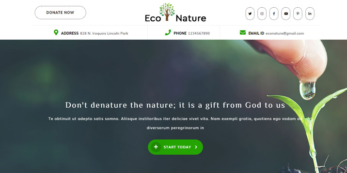 Tema de WordPress ecológico y natural