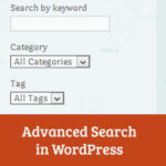 Cómo agregar un cuadro de búsqueda avanzada a WordPress con Facetious |