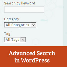 Cómo agregar un cuadro de búsqueda avanzada a WordPress con Facetious |