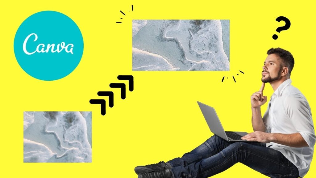 Cómo enfocar imágenes e imágenes en Canva en 8 sencillos pasos