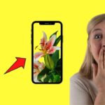 Cómo quitar el fondo de la imagen Aplicación móvil Canva