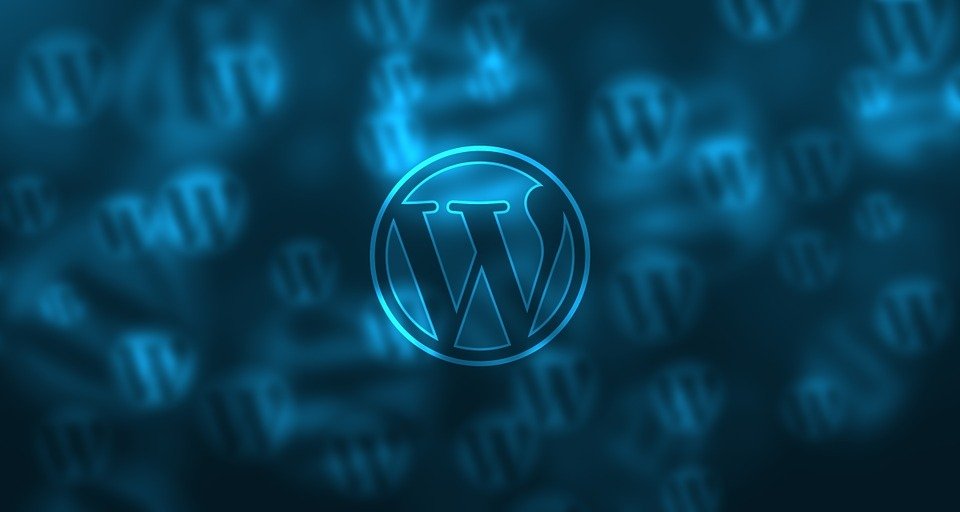 Complementos de WordPress para sitios web más rápidos – SEO CONSULTANT – Aprendermarketing.es