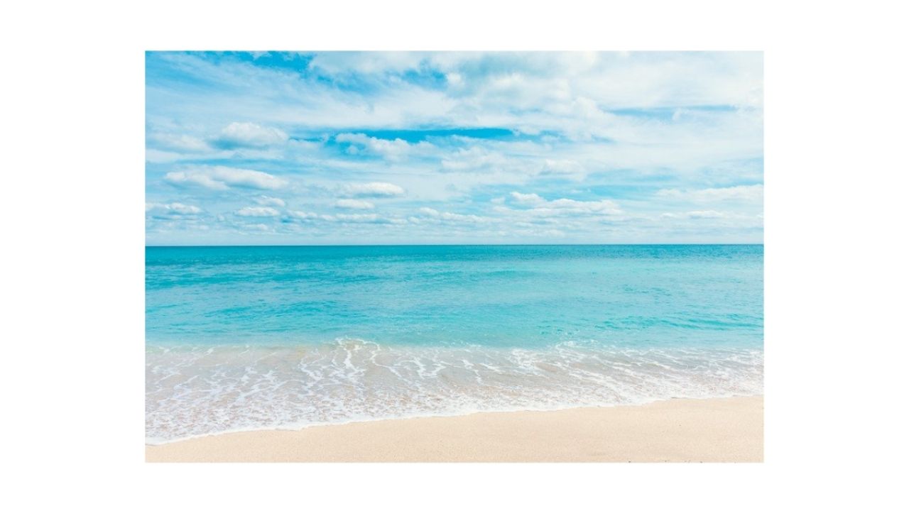 Arrastre una imagen al lienzo