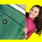 Edición de video con Canva: la guía completa