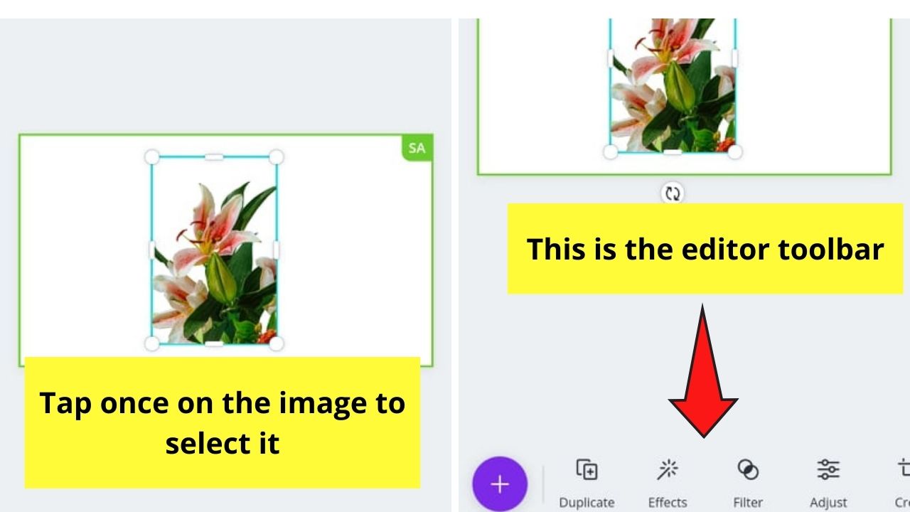 Cómo quitar el fondo de la imagen en la aplicación móvil Canva, paso 3