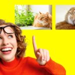 Imágenes de WordPress una al lado de la otra: así es como se hace