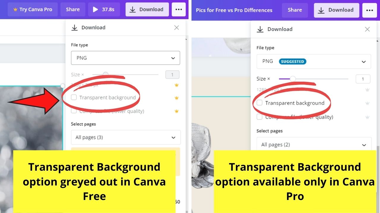 10 diferencias principales entre los fondos transparentes Canva Free y Canva Pro