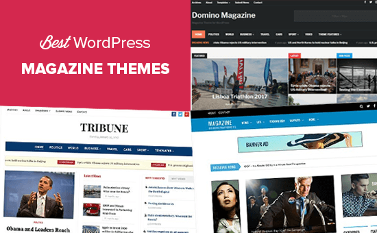 Los 27 mejores temas de WordPress para 2020 [FREE + PAID] |