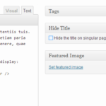 Cómo ocultar títulos para publicaciones de WordPress y páginas selectivas