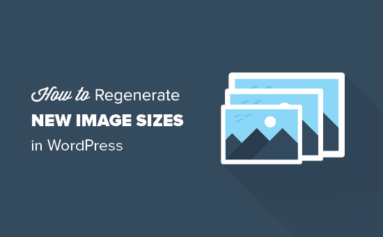 Cómo regenerar miniaturas o nuevos tamaños de imagen en WordPress