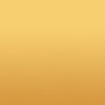 Los cinco mejores complementos de página de archivo para WordPress (2022)