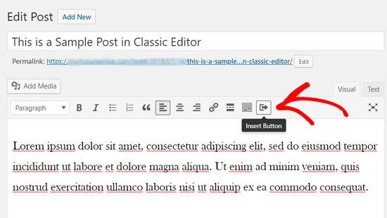 Insertar un icono de botón en el editor clá en WordPress