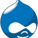 SEO para Drupal – CONSULTOR SEO – Aprendermarketing.es