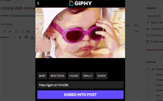 Insertar Giphy