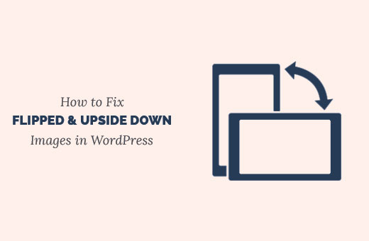 Cómo arreglar imágenes invertidas en WordPress