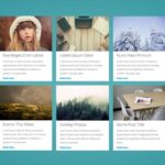 Cómo mostrar tus publicaciones de WordPress en una disertación cuádruple
