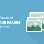 22 grandes cumplidos de WordPress para los genes de nombre de administrador