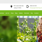 Los 10 mejores temas orgánicos de WordPress 2022