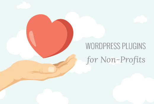 16 complementos complementarios de WordPress para organizaciones