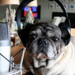 Los 18 mejores podcasts de marketing – Aprendermarketing.es