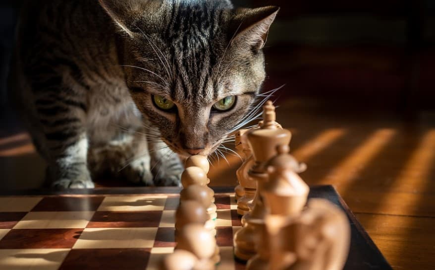 ¿Qué es una estrategia de marketing de contenidos? – Plerdí