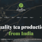 Los 10 mejores temas y plantillas de WordPress para tiendas de té
