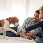 MetLife utiliza marketing ágil para impulsar las ventas de seguros para mascotas