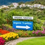 aumentar el tráfico orgánico