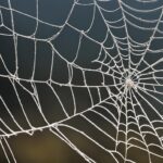 estrategias de SEO eficaces